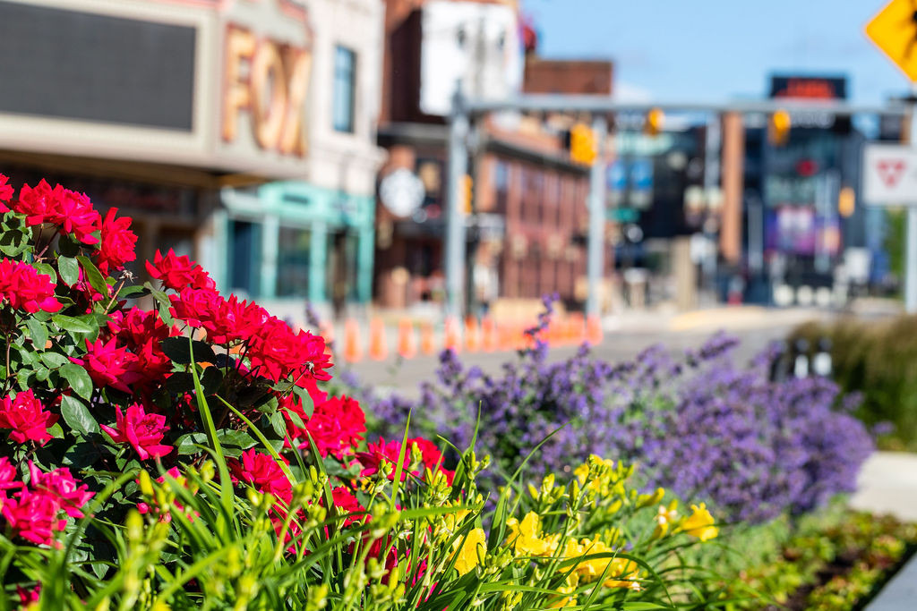 Photo Gallery Flowers Bloom Throughout The District Detroit Ilitch