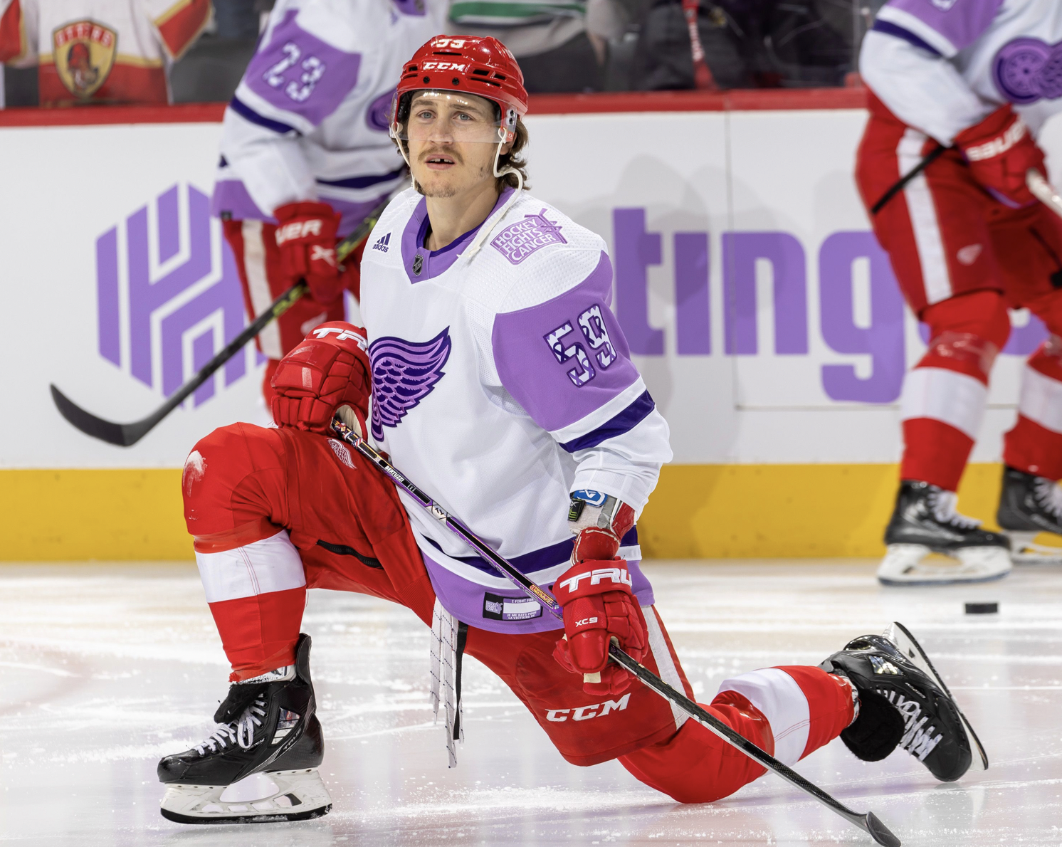 Levelwear Detroit Red Wings Youth White Hockey Fights Cancer
