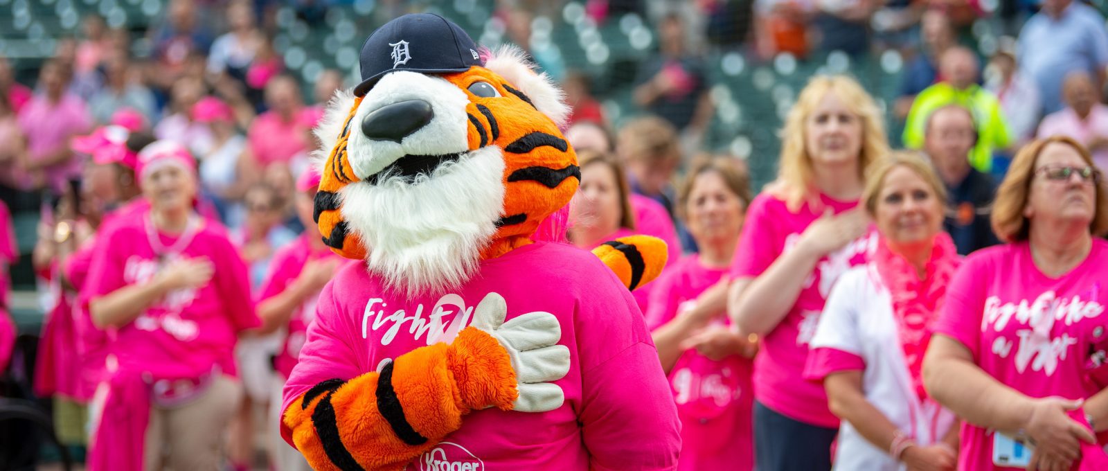 Detroit Tigers Pink Pet Jersey