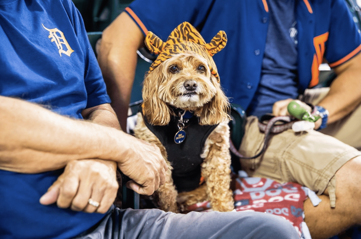 Detroit Tigers Invite Dog Lovers to Bark in the Park at Comerica Park