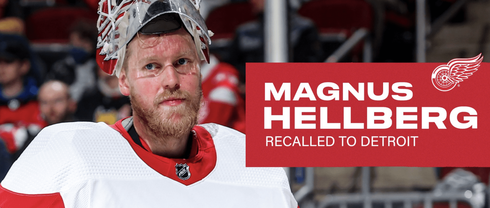Magnus Hellberg to join Detroit Red Wings; playing this season uncertain
