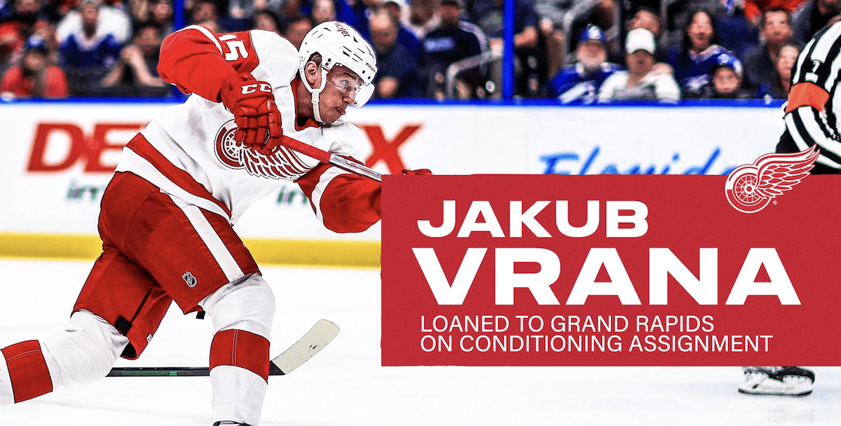 Detroit Red Wings' Jakub Vrana in NHL/NHLPA player assistance