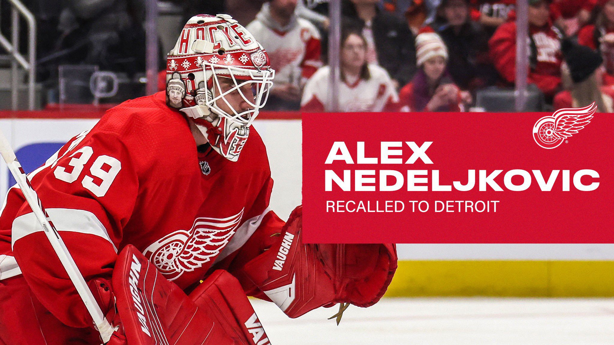 Red Wings acquire goalie Alex Nedeljkovic from Hurricanes